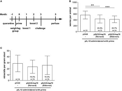 Prime-Boost Vaccine Regimen for SjTPI and SjC23 Schistosome Vaccines, Increases Efficacy in <mark class="highlighted">Water Buffalo</mark> in a Field Trial in China